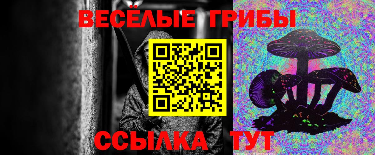 Галлюциногенные грибы прущие грибы Саяногорск